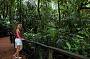 2 Day Great Barrier Reef & Daintree Eco Experience Tour